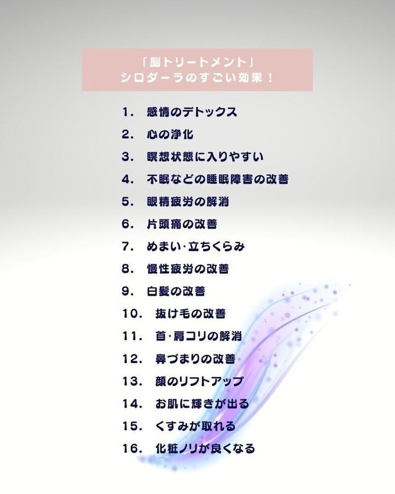 画像1274