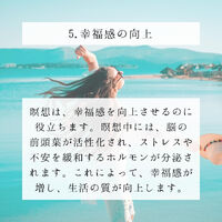 画像1368